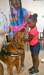 Girls Learning to Pet a Dog