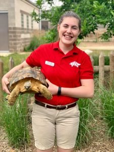 Volunteer with Turtle